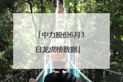 中力股份6月3日龙虎榜数据