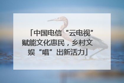 中国电信“云电视”赋能文化惠民，乡村文娱“唱”出新活力
