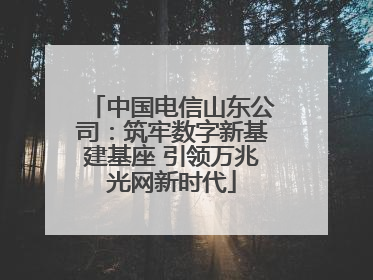 中国电信山东公司：筑牢数字新基建基座 引领万兆光网新时代