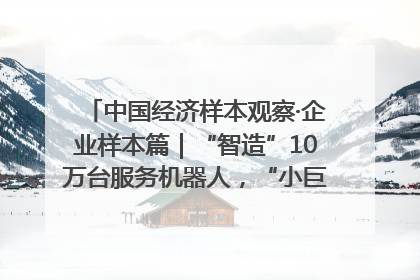 中国经济样本观察·企业样本篇｜“智造”10万台服务机器人，“小巨人”擎朗有大梦想