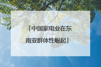 中国家电业在东南亚群体性崛起