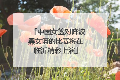 中国女篮对阵波黑女篮的比赛将在临沂精彩上演