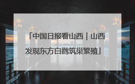 中国日报看山西｜山西发现东方白鹳筑巢繁殖