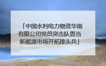 中国水利电力物资华南有限公司党员突击队勇当新能源市场开拓排头兵