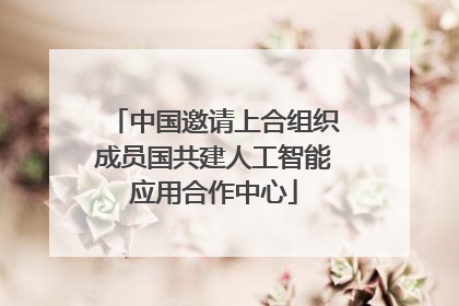 中国邀请上合组织成员国共建人工智能应用合作中心