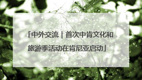 中外交流｜首次中肯文化和旅游季活动在肯尼亚启动