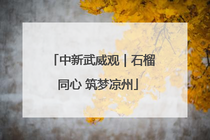中新武威观｜石榴同心 筑梦凉州