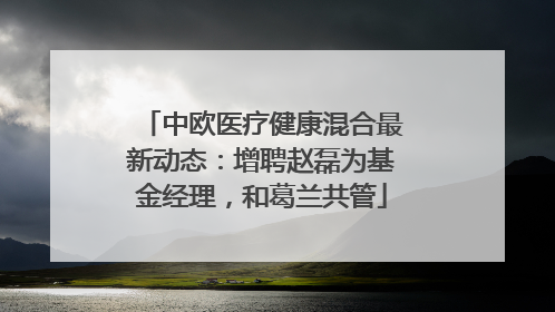 中欧医疗健康混合最新动态：增聘赵磊为基金经理，和葛兰共管