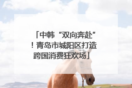 中韩“双向奔赴”！青岛市城阳区打造跨国消费狂欢场