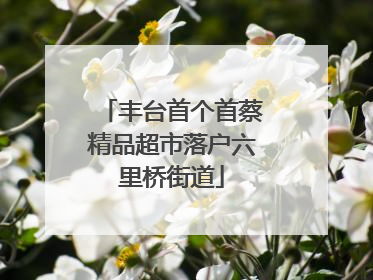 丰台首个首蔡精品超市落户六里桥街道