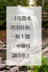 乌鲁木齐市任免一批干部：申琳任副市长