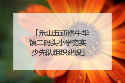 乐山五通桥牛华镇二码头小学夯实少先队组织建设