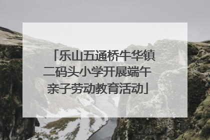 乐山五通桥牛华镇二码头小学开展端午亲子劳动教育活动