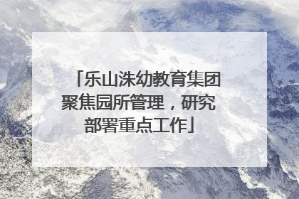 乐山洙幼教育集团聚焦园所管理，研究部署重点工作