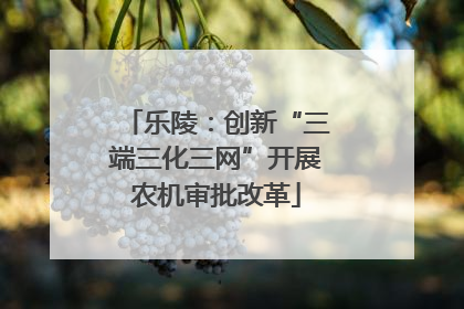 乐陵：创新“三端三化三网”开展农机审批改革