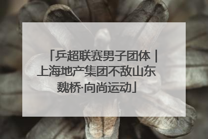 乒超联赛男子团体｜上海地产集团不敌山东魏桥·向尚运动