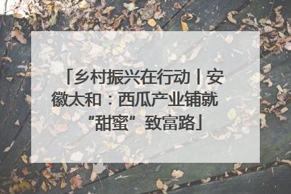 乡村振兴在行动丨安徽太和：西瓜产业铺就“甜蜜”致富路