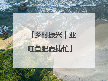 乡村振兴｜业旺鱼肥夏捕忙