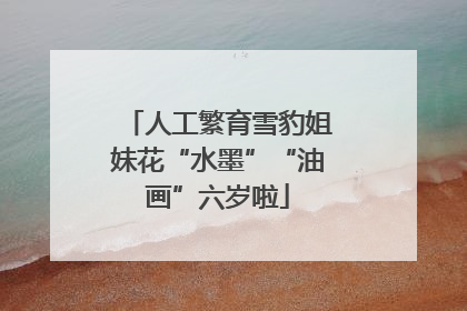 人工繁育雪豹姐妹花“水墨”“油画”六岁啦