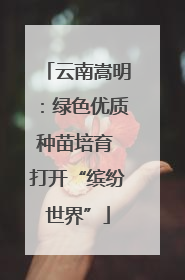 云南嵩明：绿色优质种苗培育 打开“缤纷世界”