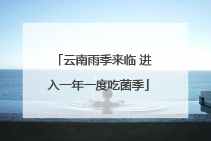 云南雨季来临 进入一年一度吃菌季
