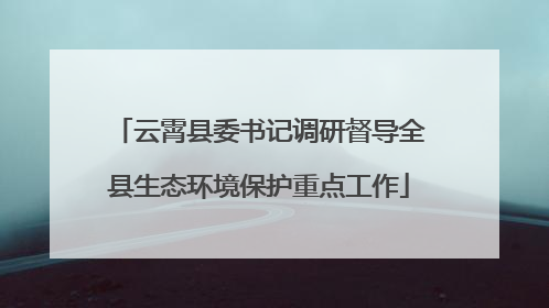 云霄县委书记调研督导全县生态环境保护重点工作