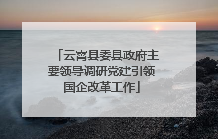 云霄县委县政府主要领导调研党建引领国企改革工作