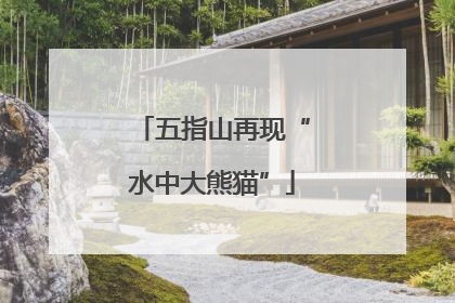 五指山再现“水中大熊猫”