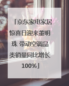 京东家电家居惊喜日迎来董明珠 带动空调品类销量同比增长100%