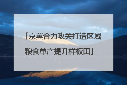 京冀合力攻关打造区域粮食单产提升样板田