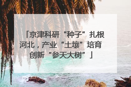京津科研“种子”扎根河北，产业“土壤”培育创新“参天大树”