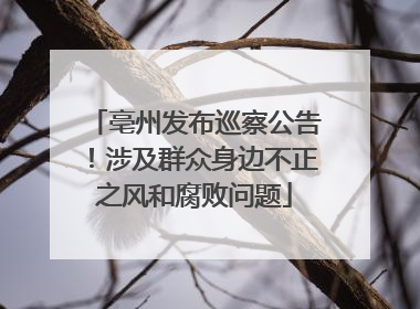 亳州发布巡察公告！涉及群众身边不正之风和腐败问题