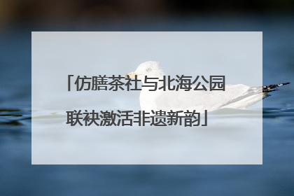 仿膳茶社与北海公园联袂激活非遗新韵