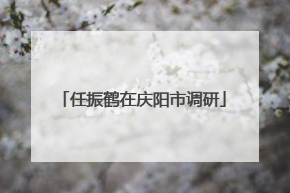 任振鹤在庆阳市调研