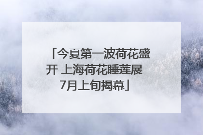 今夏第一波荷花盛开 上海荷花睡莲展7月上旬揭幕