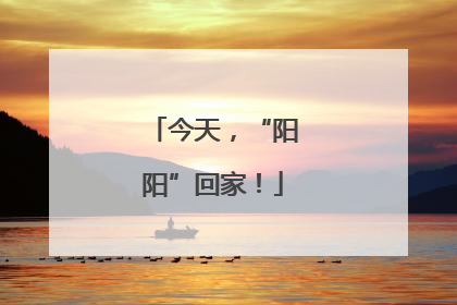 今天，“阳阳”回家！