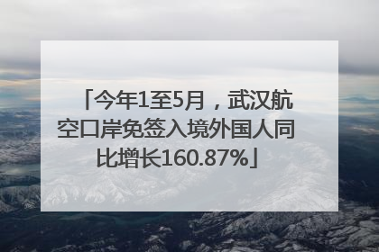 今年1至5月，武汉航空口岸免签入境外国人同比增长160.87%