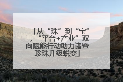 从“珠”到“宝”，“平台+产业”双向赋能行动助力诸暨珍珠升级蜕变