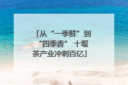 从“一季鲜”到“四季香” 十堰茶产业冲刺百亿