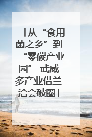 从“食用菌之乡”到“零碳产业园” 武威多产业借兰洽会破圈
