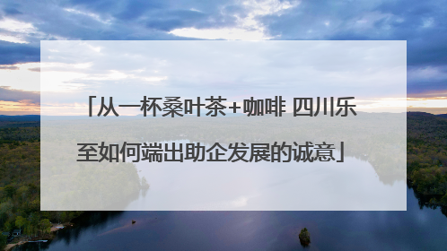 从一杯桑叶茶+咖啡 四川乐至如何端出助企发展的诚意
