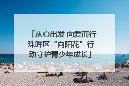 从心出发 向爱而行 珠晖区“向阳花”行动守护青少年成长