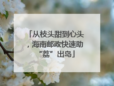 从枝头甜到心头，海南邮政快速助“荔”出岛