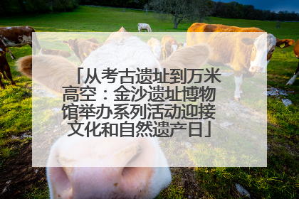 从考古遗址到万米高空：金沙遗址博物馆举办系列活动迎接文化和自然遗产日