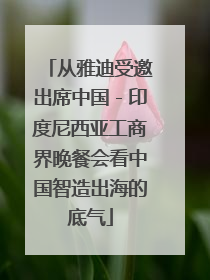 从雅迪受邀出席中国－印度尼西亚工商界晚餐会看中国智造出海的底气