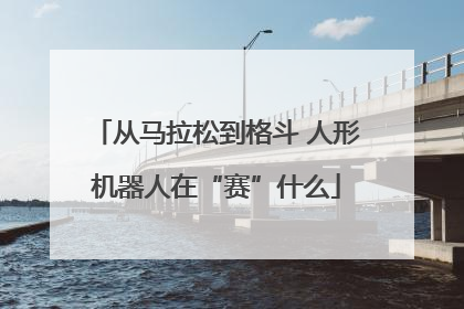 从马拉松到格斗 人形机器人在“赛”什么