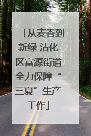 从麦香到新绿 沾化区富源街道全力保障“三夏”生产工作