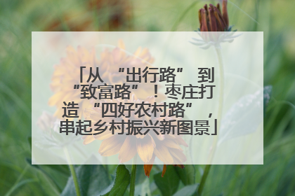 从 “出行路” 到 “致富路”！枣庄打造 “四好农村路”，串起乡村振兴新图景