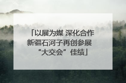 以展为媒 深化合作 新疆石河子再创参展“大交会”佳绩