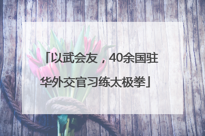 以武会友，40余国驻华外交官习练太极拳